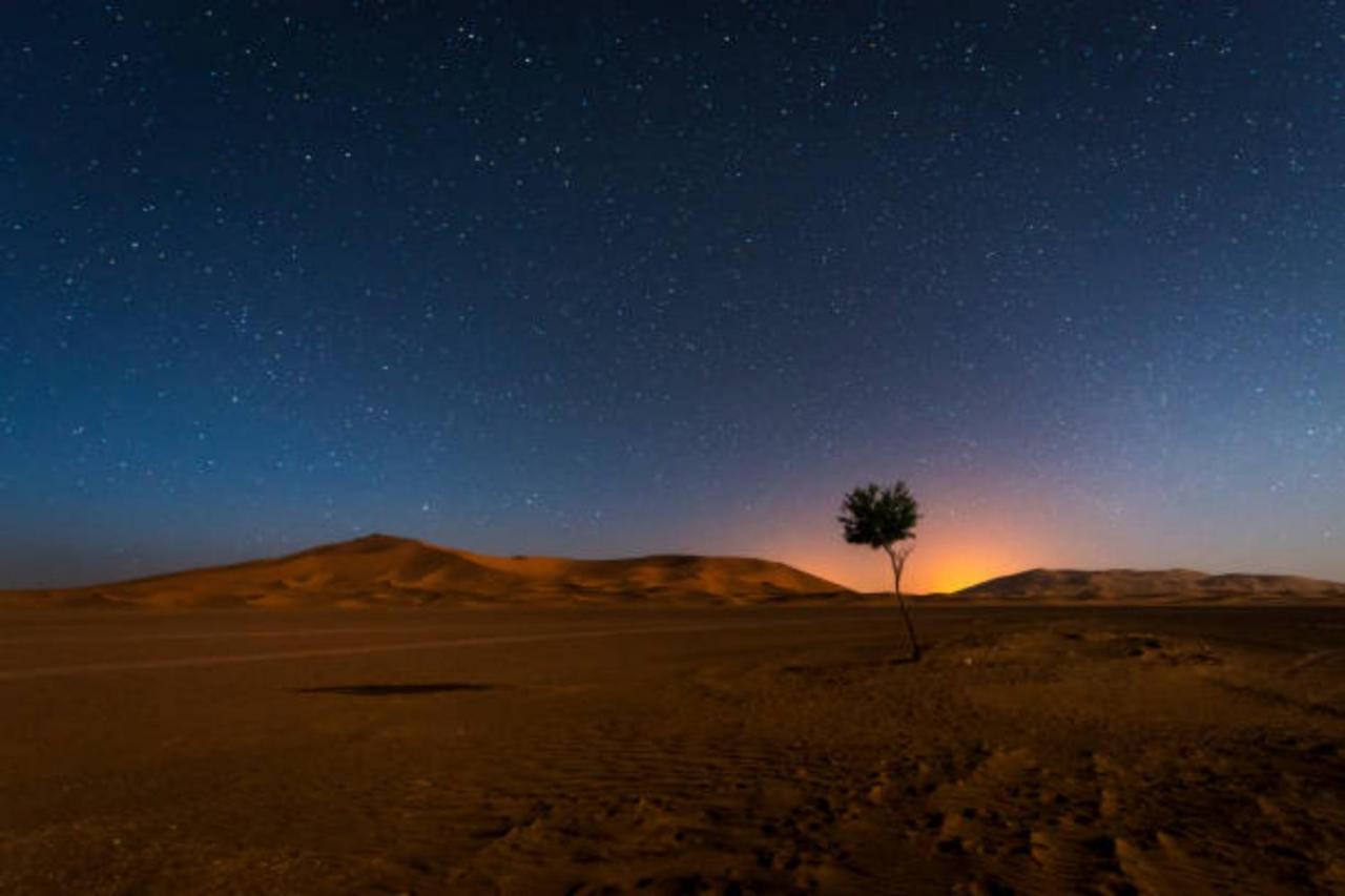 Desert Paradise Luxury Camp Мерзуга Екстер'єр фото