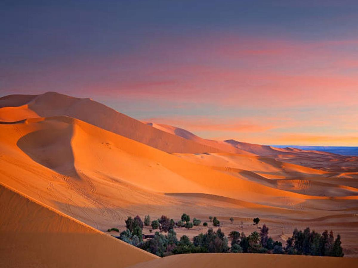 Desert Paradise Luxury Camp Мерзуга Екстер'єр фото
