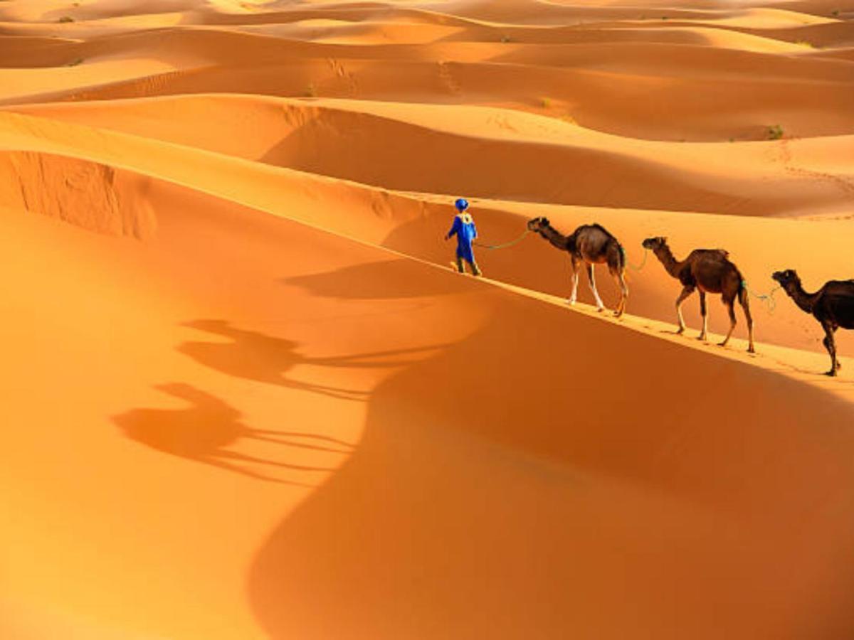 Desert Paradise Luxury Camp Мерзуга Екстер'єр фото